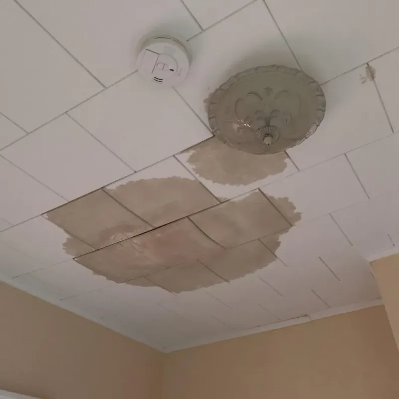 Ceiling Water Damage Repair in Epworth, IA