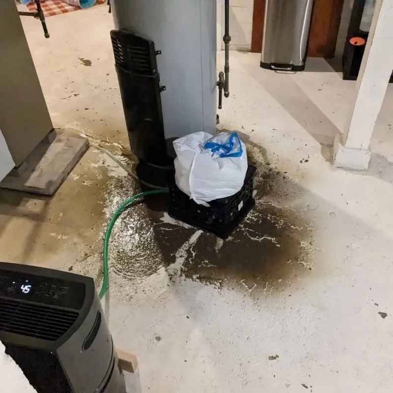 Sewage Backup Cleanup Service in Epworth, IA